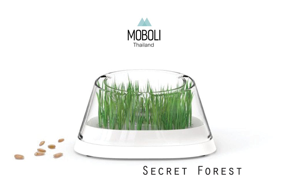 Moboli - Secret Forest ชามอาหารปลูกข้าวสาลี