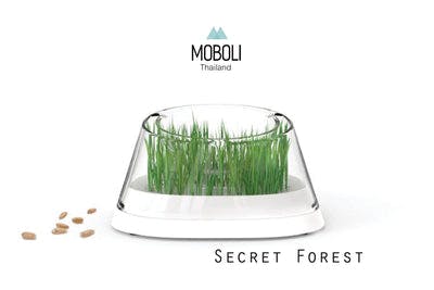 Moboli - Secret Forest ชามอาหารปลูกข้าวสาลี