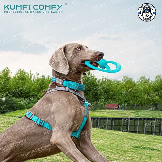 Kumfi Comfy - Frisbee Chew ของเล่นสุนัขร่อนได้