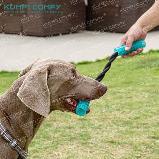 Kumfi Comfy - Double Stick Rope Chew ของเล่นสุนัขทรงแท่งยาว 2 ท่อนผูกเชือก