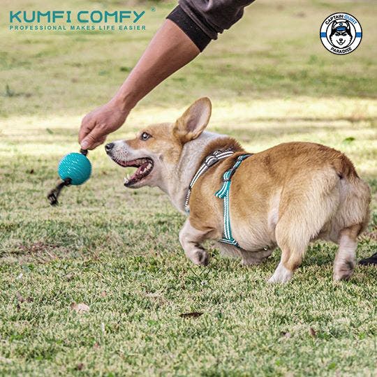 Kumfi Comfy - Ball on Rope Chew ของเล่นสุนัขทรงลูกบอลผูกเชือก