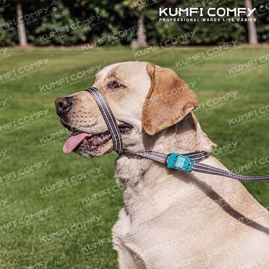 Kumfi Comfy - Calmer MK2 Lead สายจูงแบบรัดปากได้