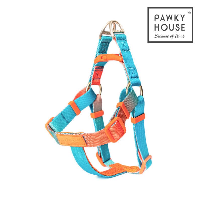 Pawky House - Quick Harness 3 colors สายรัดตัวแบบคล่องแคล่ว มี 3 สี