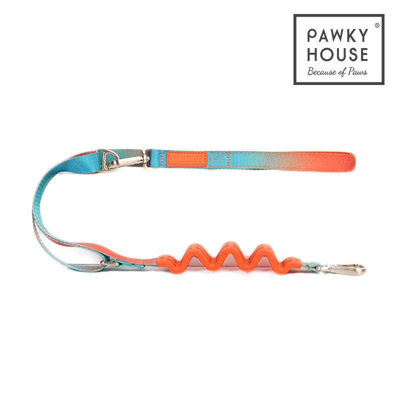 Pawky House - Multifunction Leash 3 colors สายจูงตอบโจทย์ทุกการใช้งาน มี 3 สี
