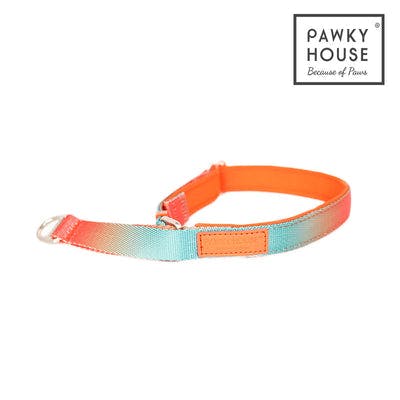 Pawky House - Comfort Collar 3 colors ปลอกคอสวมใส่สบายมี 3 สี