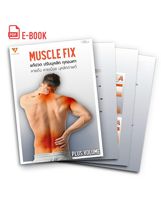 E Book - Muscle Fix Vol.1-3