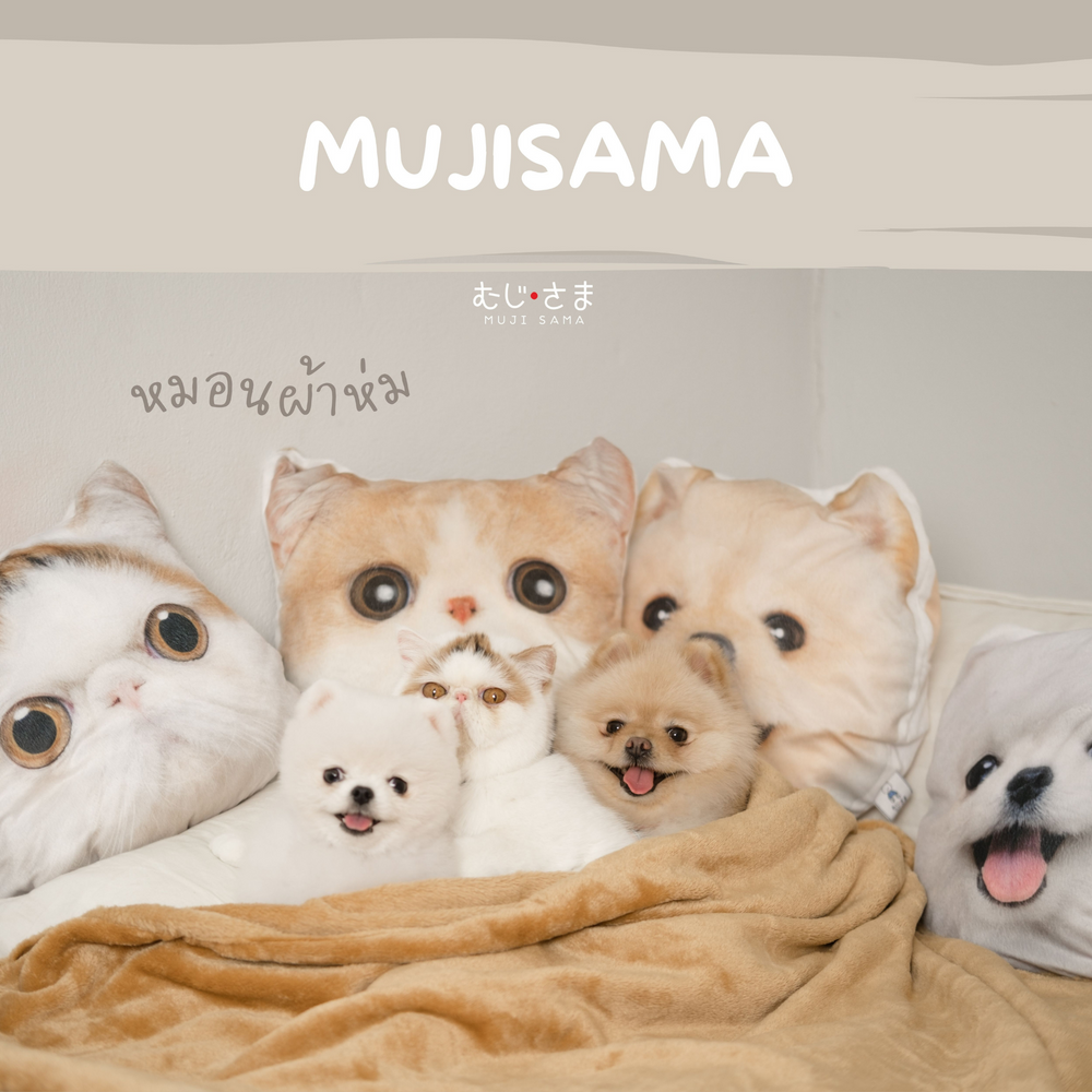 Muji Blanket and Pillow