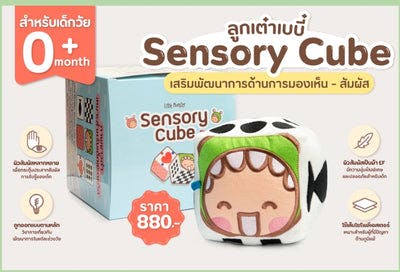 Sensory Cube